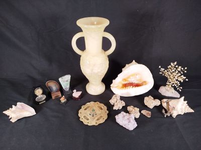 de nombreux coquillages et un vase sur fond noir