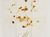 an image of a piece of white paper with brown stains on it