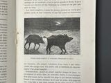an open book with a picture of a cow and a pig