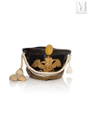 an image of a hat with a gold eagle on it