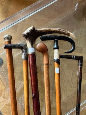 four different types of walking canes in a display case