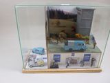 une vitrine en verre contenant un camion miniature et d'autres véhicules miniatures