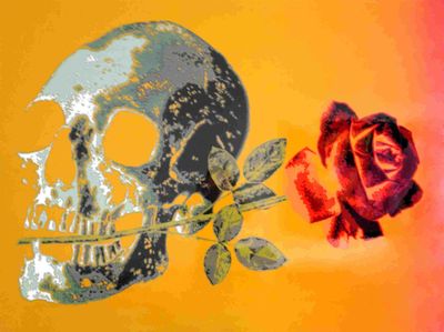 (+) SCOTT CAMPBELL (B.1977) Skull & Rose