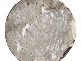 a white plate with a pattern on it on a white surface