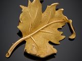 an image of a gold leaf broochle on a black surface