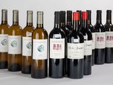 plusieurs bouteilles de vin sont alignées sur une surface blanche