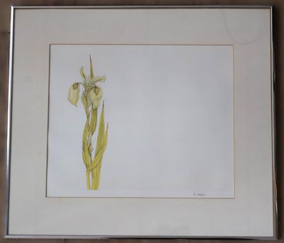 une image représentant une photo d'une fleur jaune dans un cadre blanc