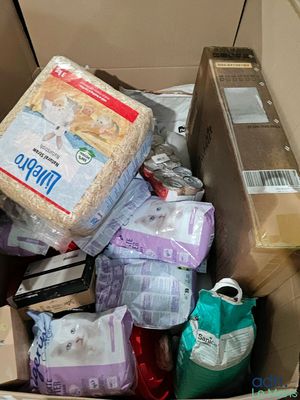 une boîte remplie de nourriture et d'autres objets