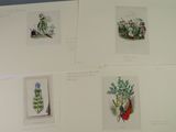 four pictures of different plants on a white board