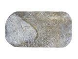 an image of a rock with a picture of a man on it