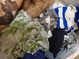 a dog that is sitting in a suitcase full of clothes