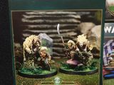 a box of warcrow miniatures sitting on a table