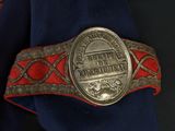 a close up of a red and blue tie with a silver buckle