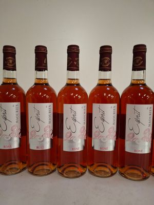 60 bouteilles Château de Maourie 2014, Rosé Côtes de Gascogne récoltan
