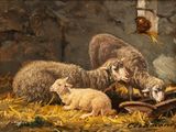 painting of sheep and lambs eating hay in a barn