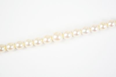 a single strand of white pearls on a white background