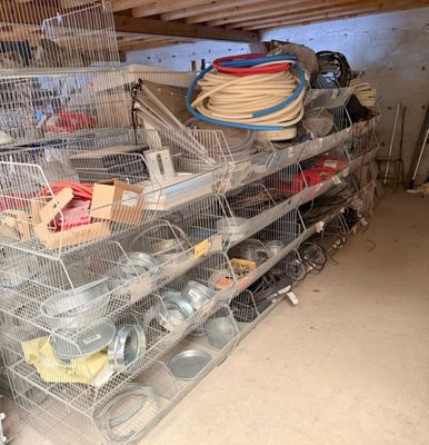de nombreuses cages contenant des oiseaux dans une pièce