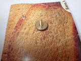 a small screw that is sitting on top of a piece of paper