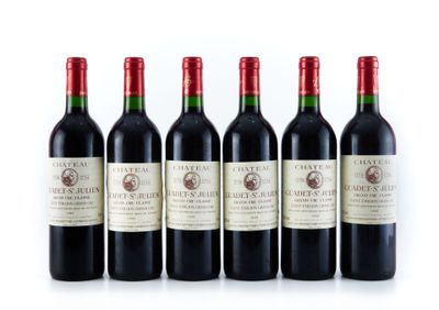 six bouteilles de vin alignées sur une surface blanche