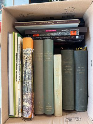 une boîte pleine de livres posée sur une table