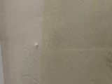 a close up of a white vase with dirt on it