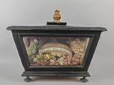 une boîte noire avec l'image d'un poisson à l'intérieur
