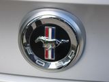 a close up of a mustang emblem on the hood of a car
