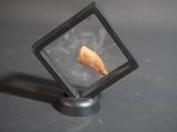 une photo d'un morceau de nourriture dans un verre carré