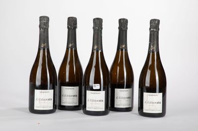 six bouteilles de vin sont alignées sur une surface blanche