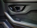 a close up of a car door handle with the door handle open