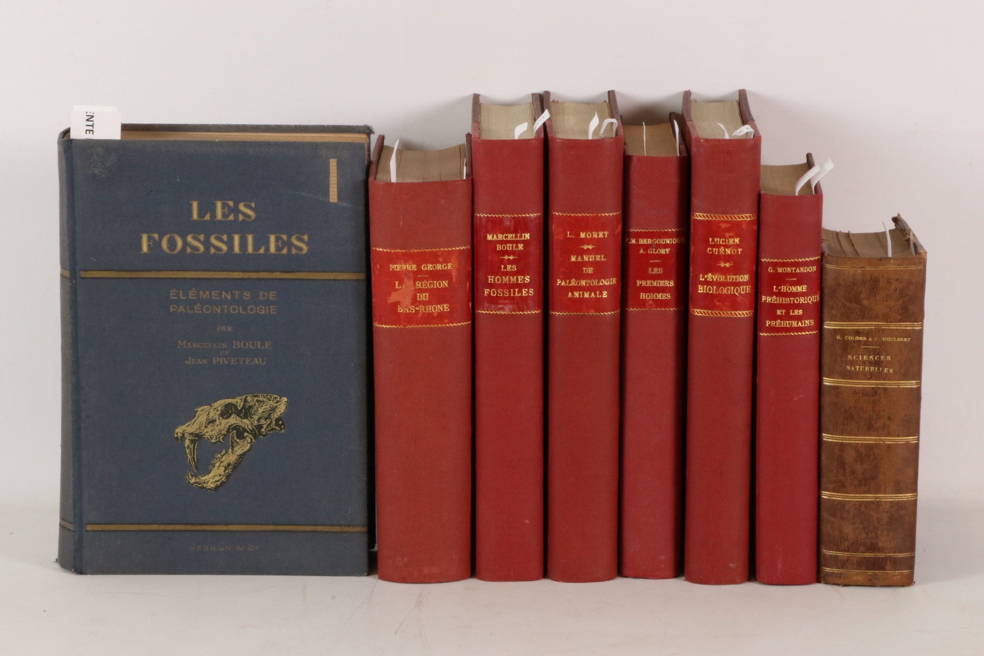 [PALEONTHOLOGIE, ARCHEOLOGIE] Réunion de 6 volumes :