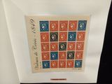 l'image d'une photo représentant un chat sur une feuille de papier