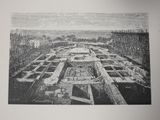drawing of a view of a garden with a lot of plants