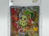 a close up of a pokemon trading card in a plastic case
