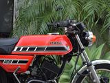 a red and black motorcycle parked next to a green plant