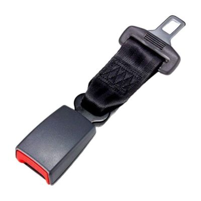 the seat belt is attached to the back of a car seat