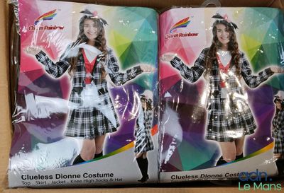 deux cartons de déguisements pour filles, de différentes couleurs et de différents modèles