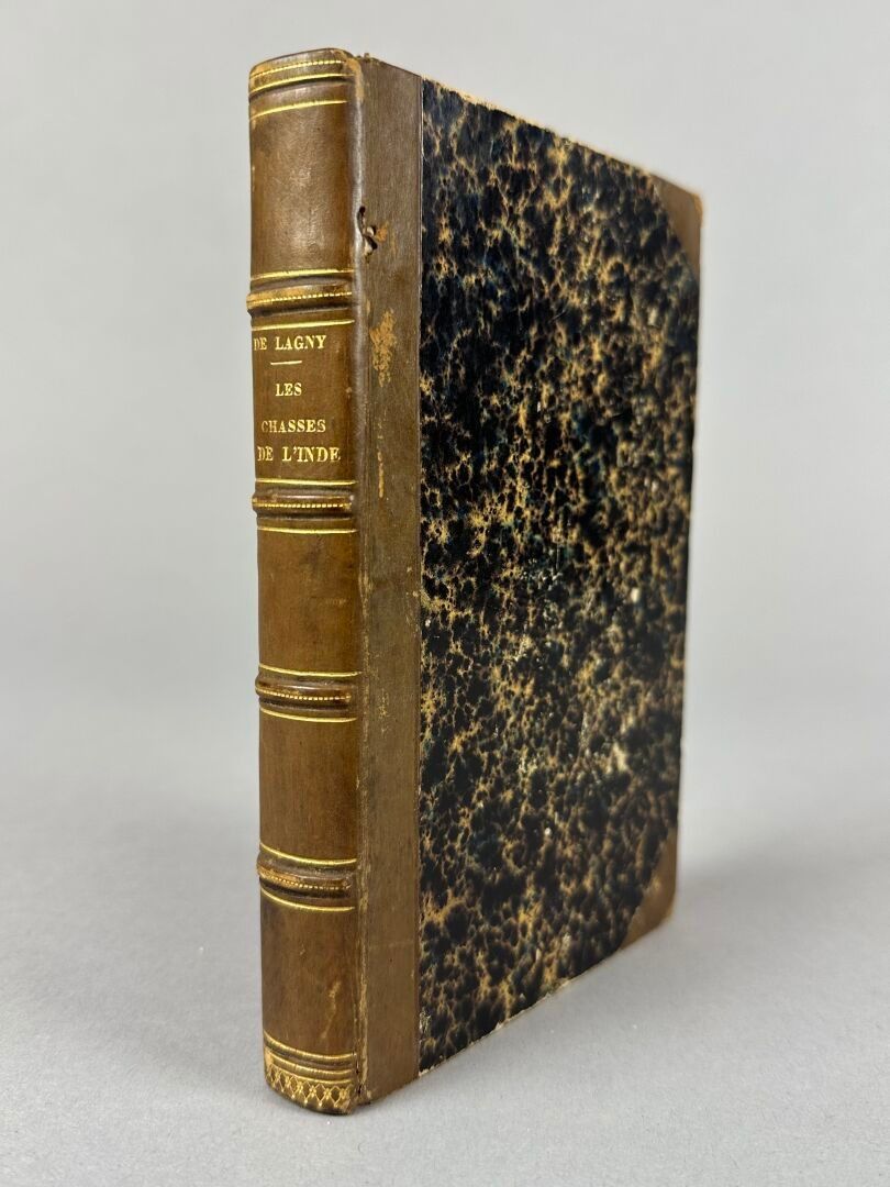 Objets d'art & Curiosités