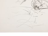 drawing of a cat and a bird on a white paper