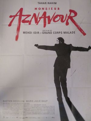 une image représentant une affiche de film sur laquelle figure un homme debout sur un skateboard