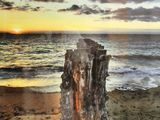 a picture of a piece of wood on the beach