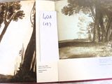 a book with a picture of a forest in it