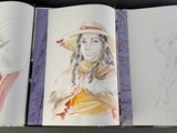 three pages of a book with drawings on them