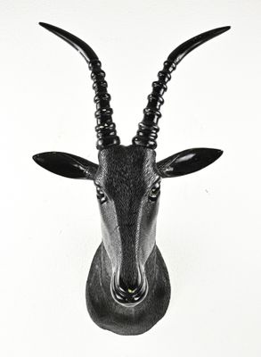 une tête d'antilope noire fixée sur un mur blanc