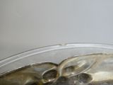 a glass of soda with ice in it on a table