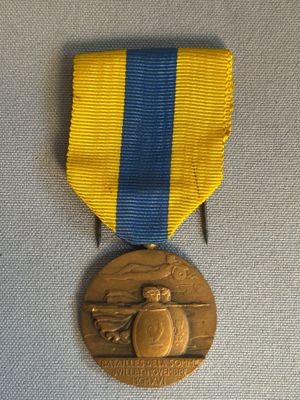 un gros plan d'une médaille ornée d'un ruban bleu et jaune