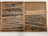 a wooden box filled with lots of screws and nuts