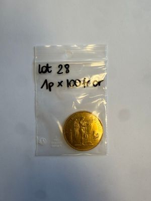 une pièce d'or dans un sachet en plastique posé sur une surface blanche