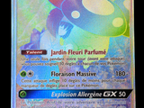 La carte Pokémon est affichée sur un fond noir.
