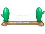 un filet de volley-ball gonflable surmonté d'un cactus vert
